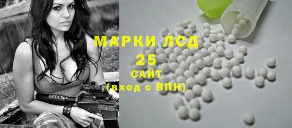 mdpv Каменногорск